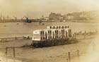 Lower Marine Terrace  [Albumin Print]